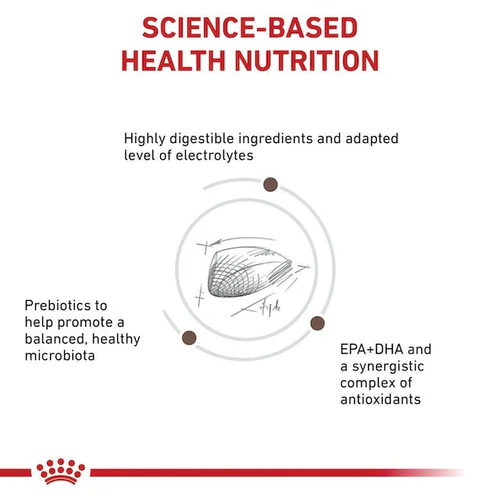 Royal Canin Gastrointestinal fiber response For Cat 4KG