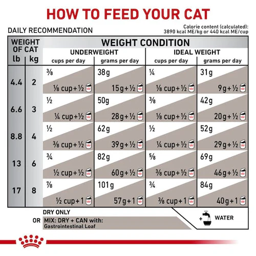 Royal Canin Gastrointestinal fiber response For Cat 4KG