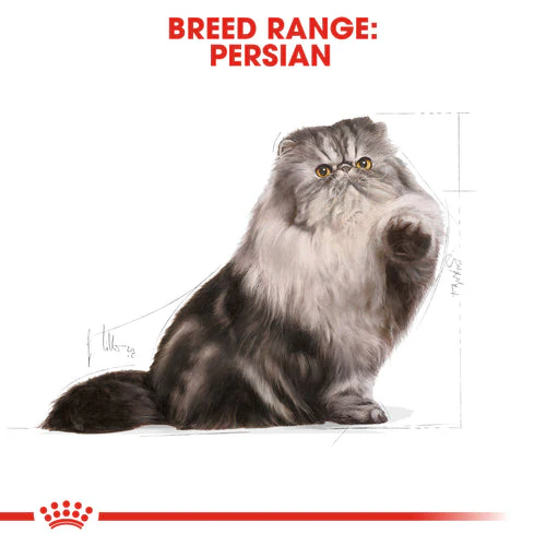 Royal Canin Persian Adult  10 kg