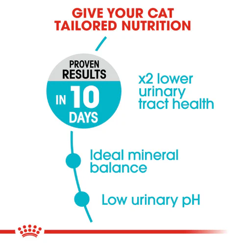 Royal Canin Urinary Care Adult Dry Cat Food 4KG