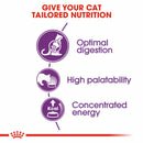 Royal Canin Sterilised Dry Food for Cats 2 kg