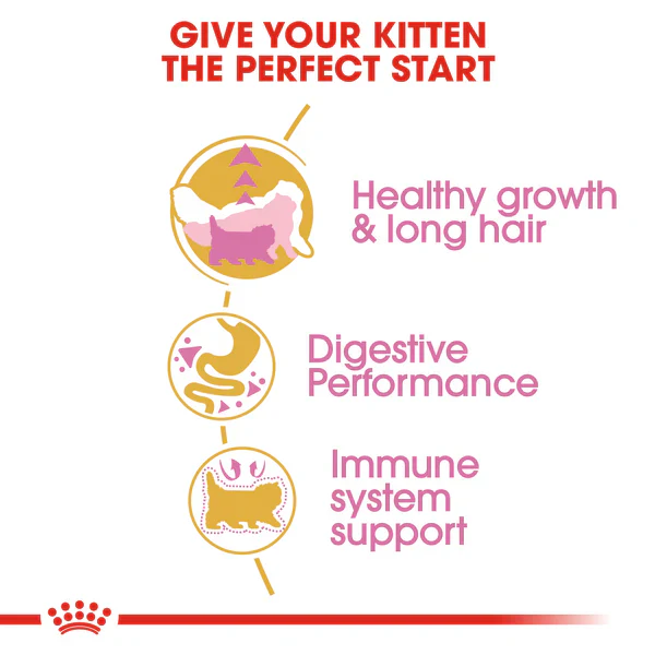 Royal Canin Persian Kitten Dry Food Up to 12 months