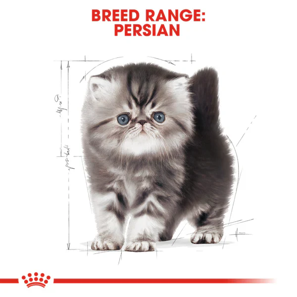 Royal Canin Persian Kitten Dry Food Up to 12 months