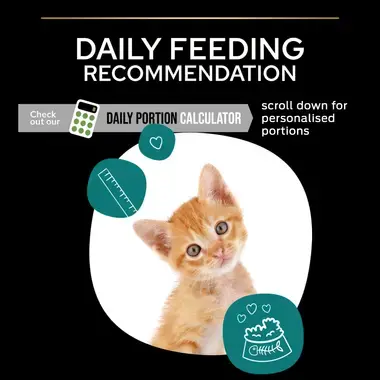 PURINA® PRO PLAN® Original Kitten 1-12 months Rich in chicken - (1.5kg)