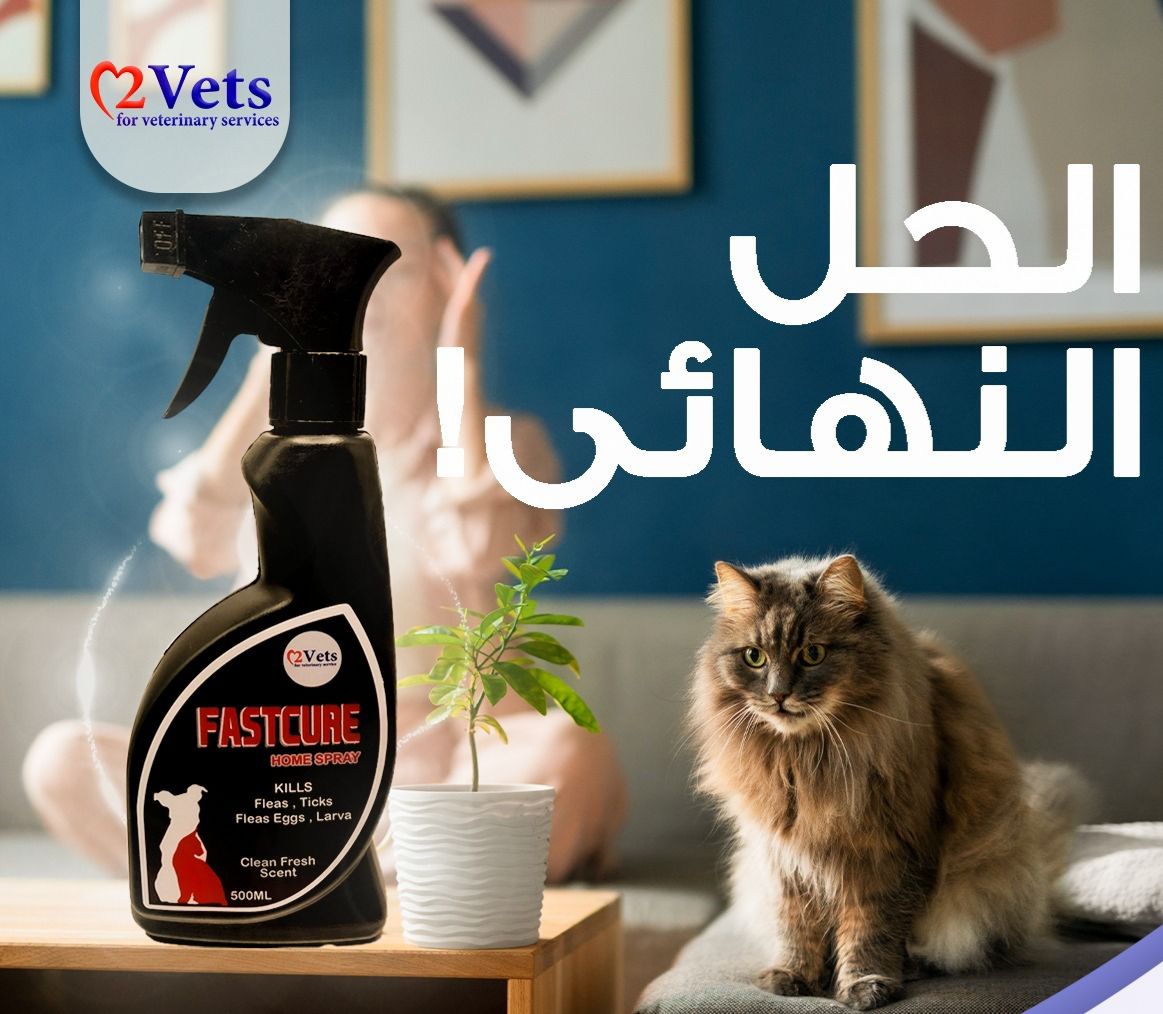 Fastcure home spray 500ml