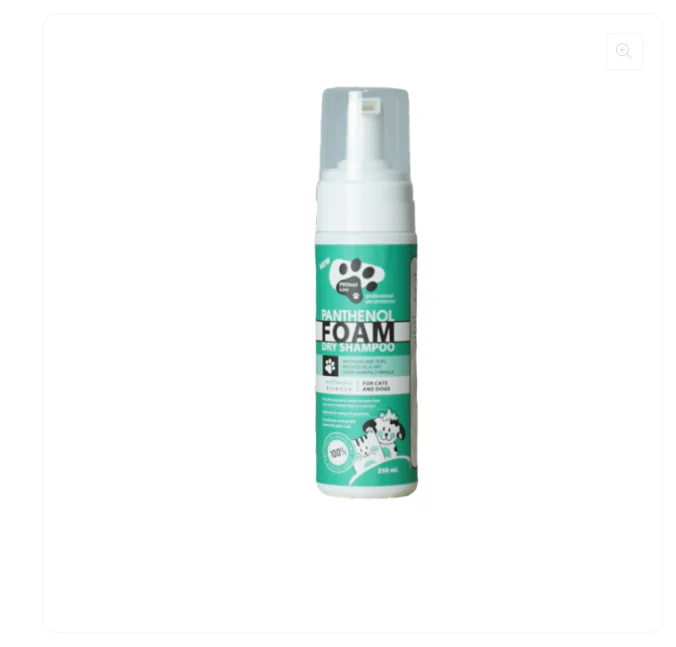 Protect Line Panthenol Foam Dry Shampoo 500 ml