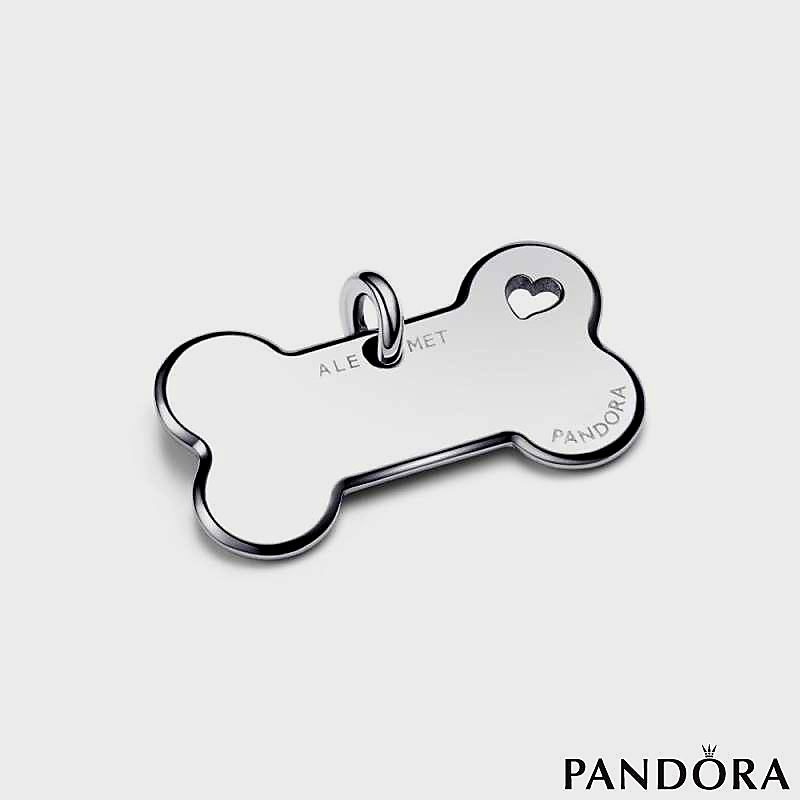 Collar Tag for Pets