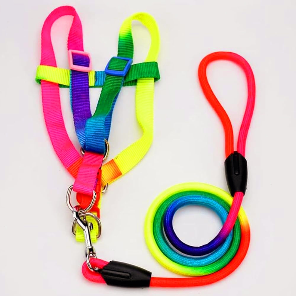 harness & leash nylon L