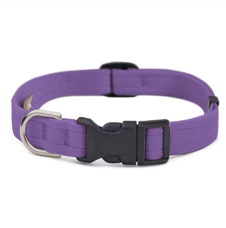 Whoom Dog Collar