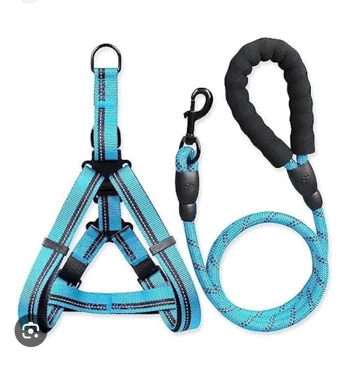 Dog Harness with Leash XXL