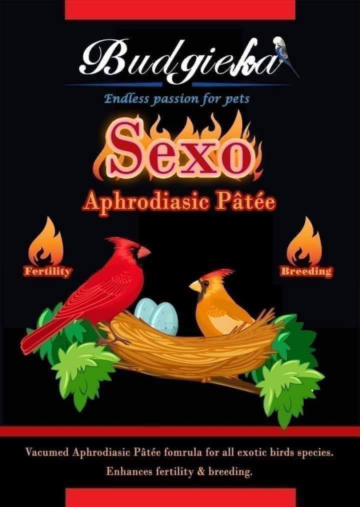 Budgieka Sexo Patee 500 gm