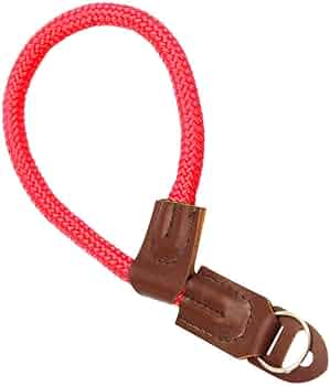 pawaya collar for dogs size medium