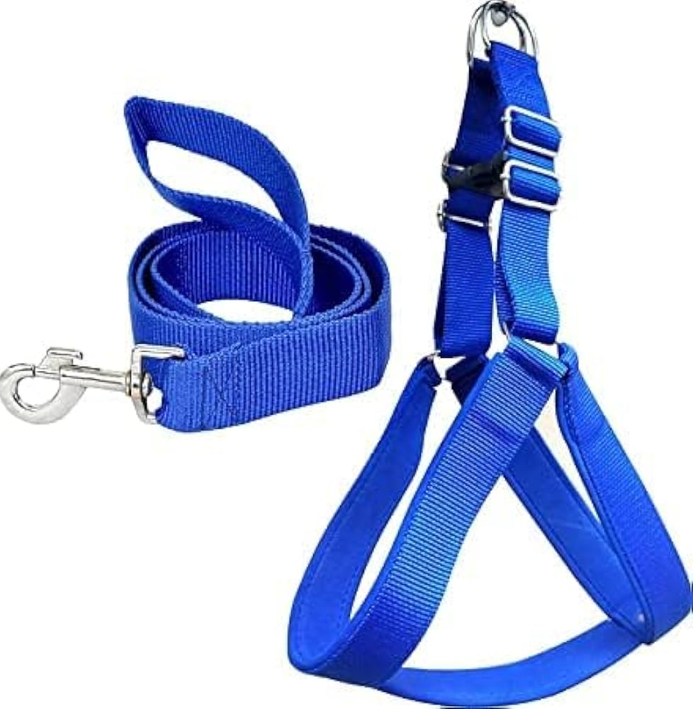 harness & leash nylon L