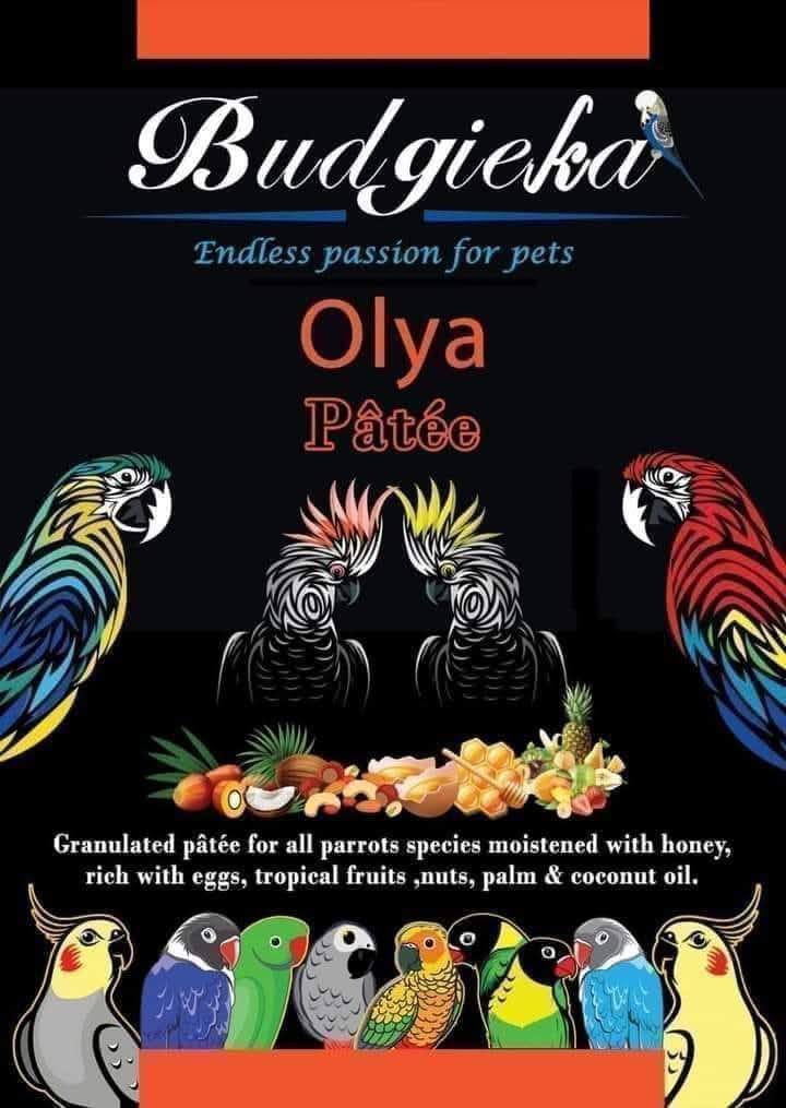 Budgieka Olya Patee 500 gm