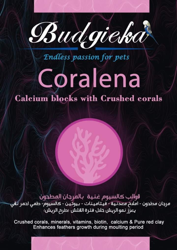 Budgieka Coralena Calcium 2pcs