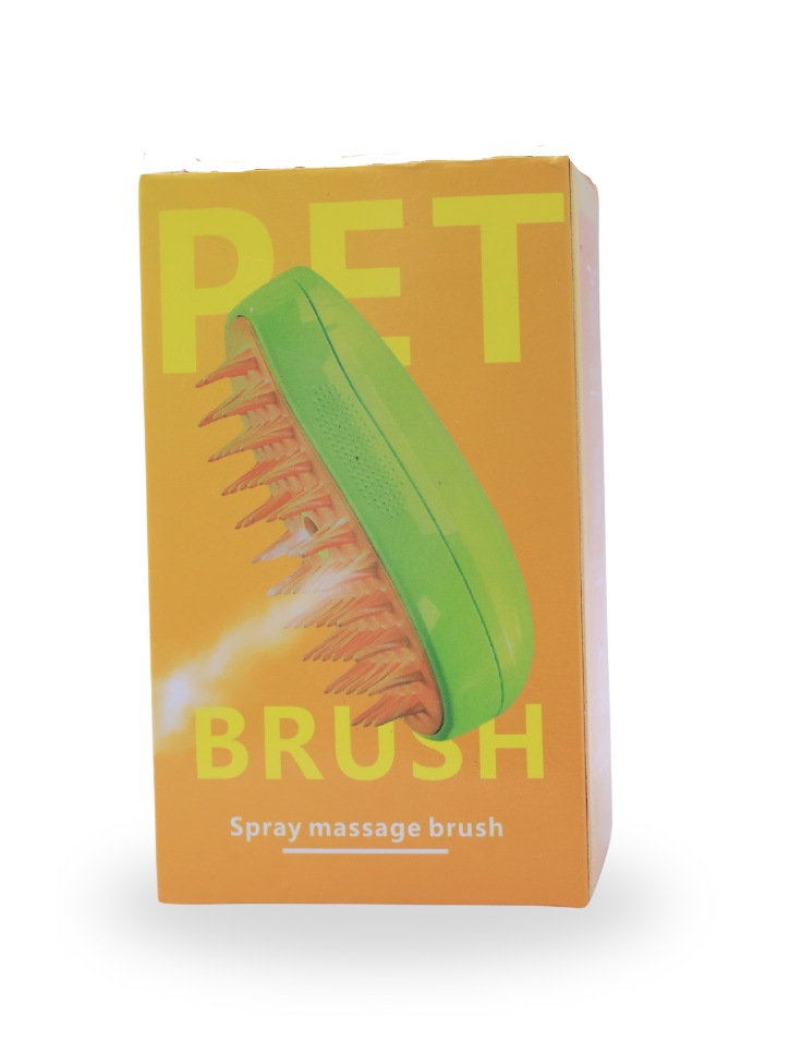 steam brush