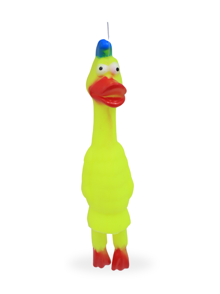 Duck-shaped Toy
