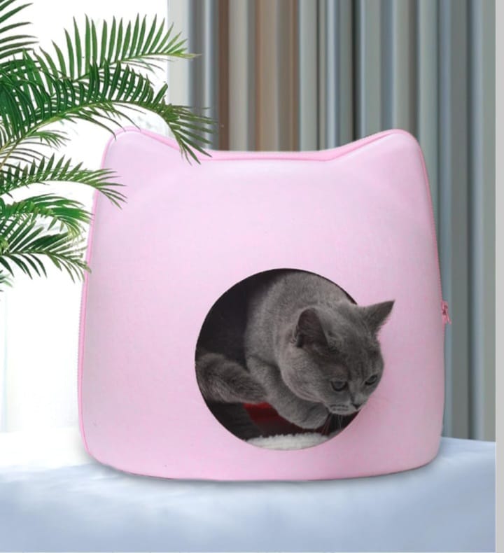 Cat Shaped Cat home