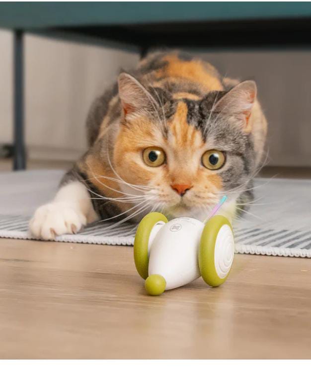 Mouse Cat Toy