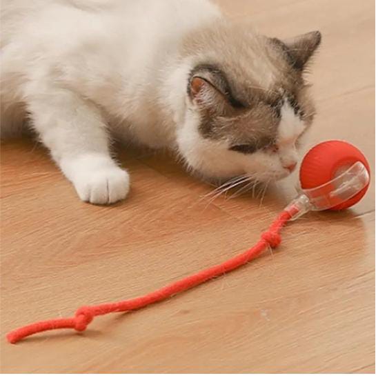 Interactive Cat Ball Toy
