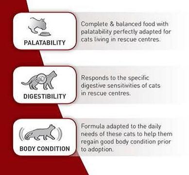 Royal Canin SC 365D For Cats 15 Kg