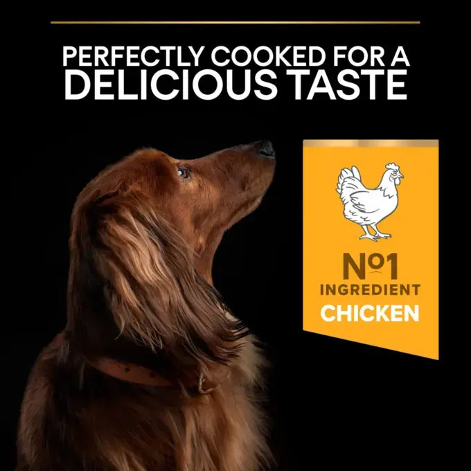 Purina Pro Plan Dry Food with Chicken for Mini Breed Adult Dogs 3 kg