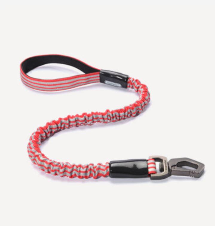 Elastic Dog Leash M-L