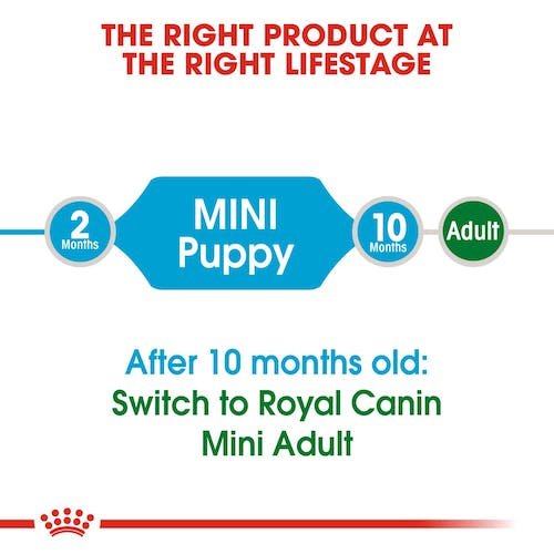 Royal Canin Mini Puppy Dry food for small dogs 2 kg
