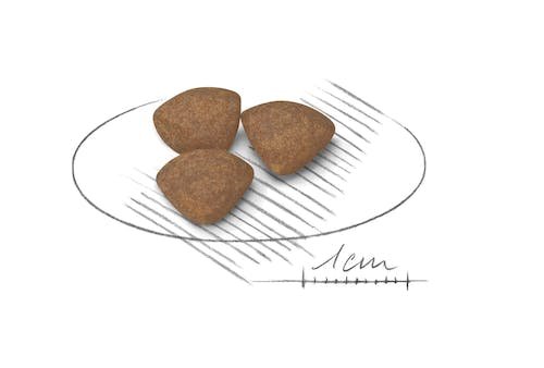 Royal Canin Mini Puppy Dry food for small dogs 2 kg