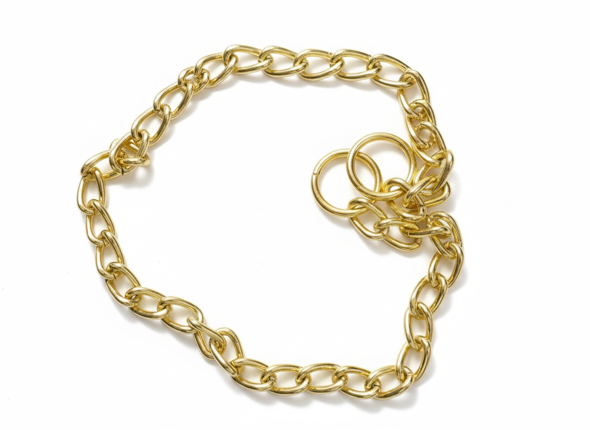 a Golden choke chain collar