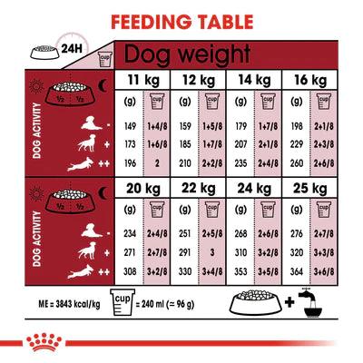 Royal Canin Medium Adult (4 KG) - Dry food for medium dogs from 11 to 25 KG. From 12 months to 7 years