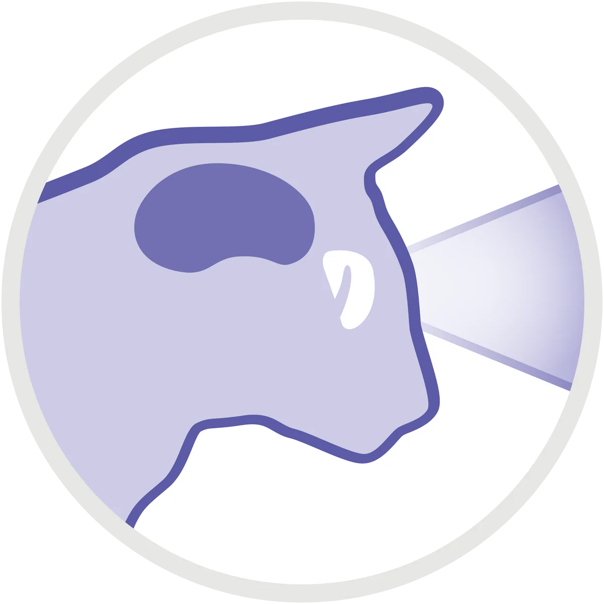 Purina Pro Plan Junior Nutri Savour with Turkey in Gravy – 85g